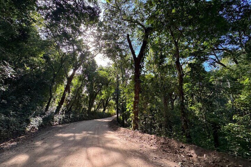 Private Full Day Tour to Nuevo Ixtlan Hot Springs with BBQ