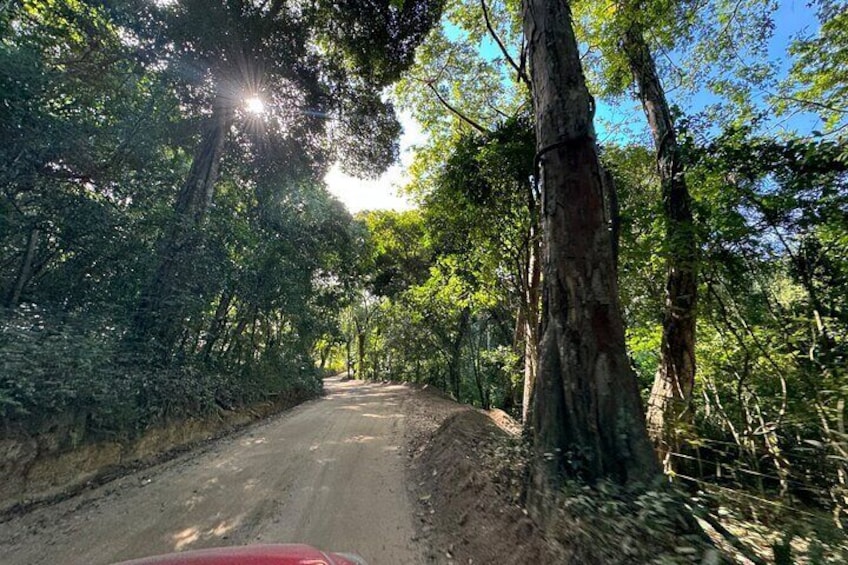 Private Full Day Tour to Nuevo Ixtlan Hot Springs with BBQ