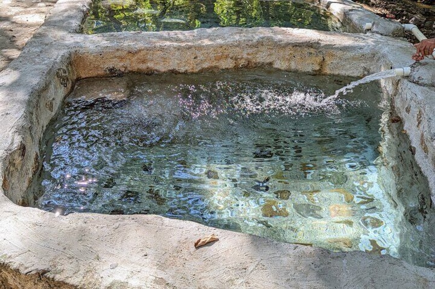 Private Full Day Tour to Nuevo Ixtlan Hot Springs with BBQ