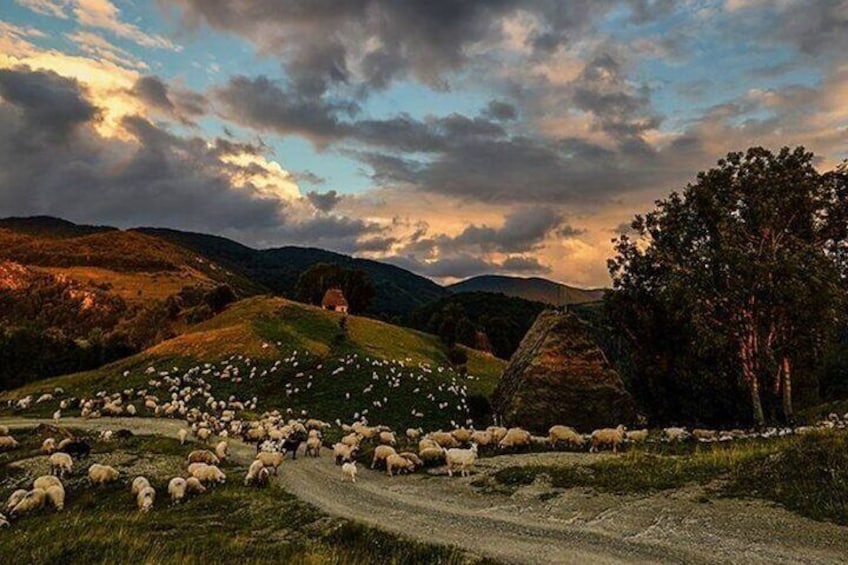 Private Day Tour to Historical Villages in Sinaia