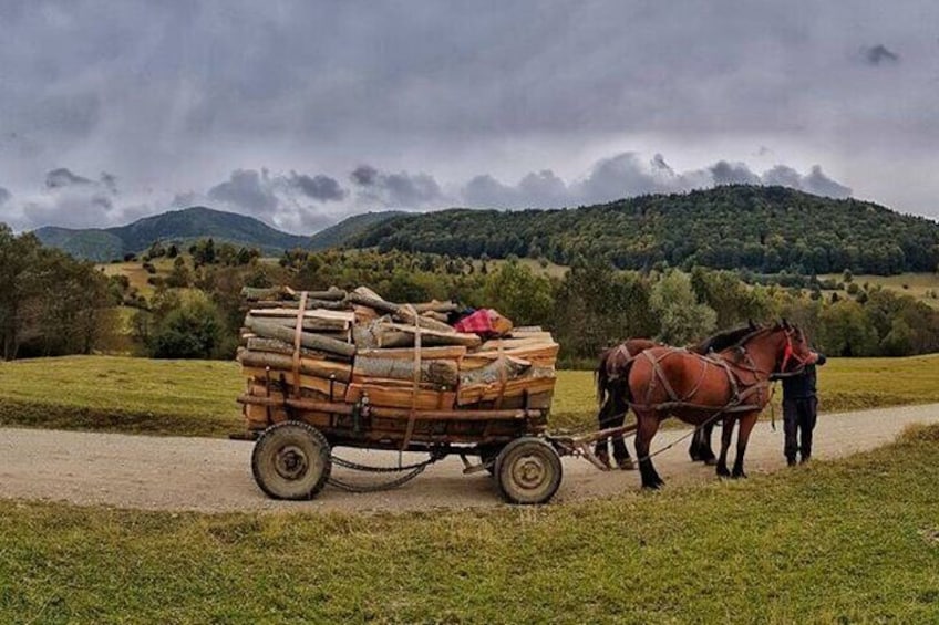 Private Day Tour to Historical Villages in Sinaia