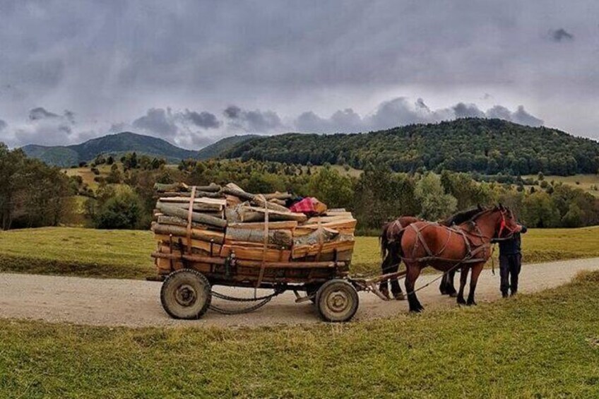 Private Day Tour to Historical Villages in Sinaia