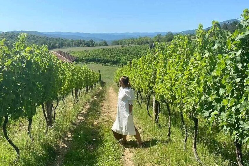 Private Wine Tasting and Tradition Tour in Banja Luka