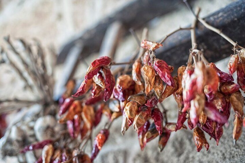 Detail of the Apulian winery