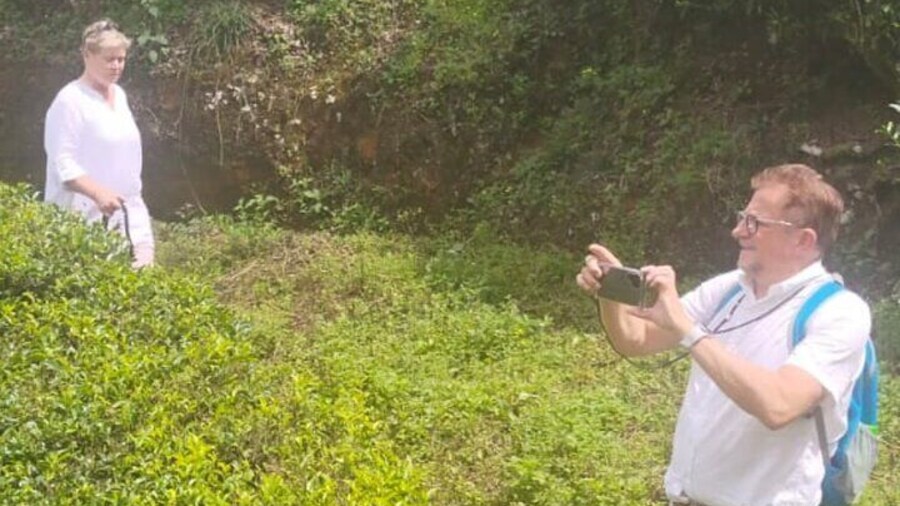 From Kochi: Day Tour to Munnar with Tea Garden and Waterfalls