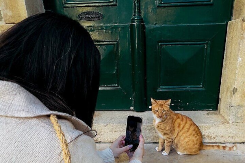 3-hour Photography Workshop of Alfama, Graça and Mouraria