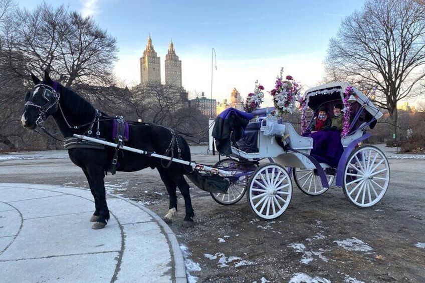 Private Horse Carriage Rides Since 1858 in NYC Central Park