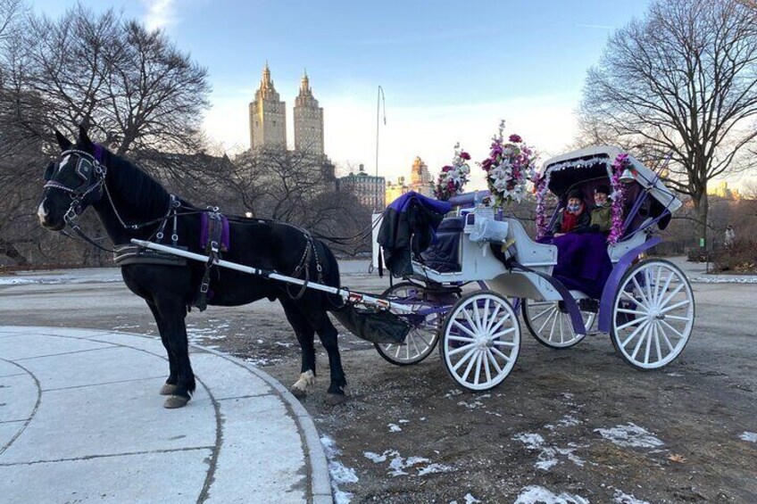 Private Horse Carriage Rides Since 1858 in NYC Central Park