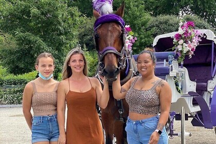 Paseos en carruajes de caballos por el Central Park de Nueva York