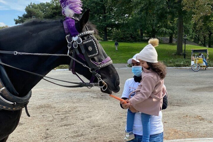 Private Horse Carriage Rides Since 1858 in NYC Central Park