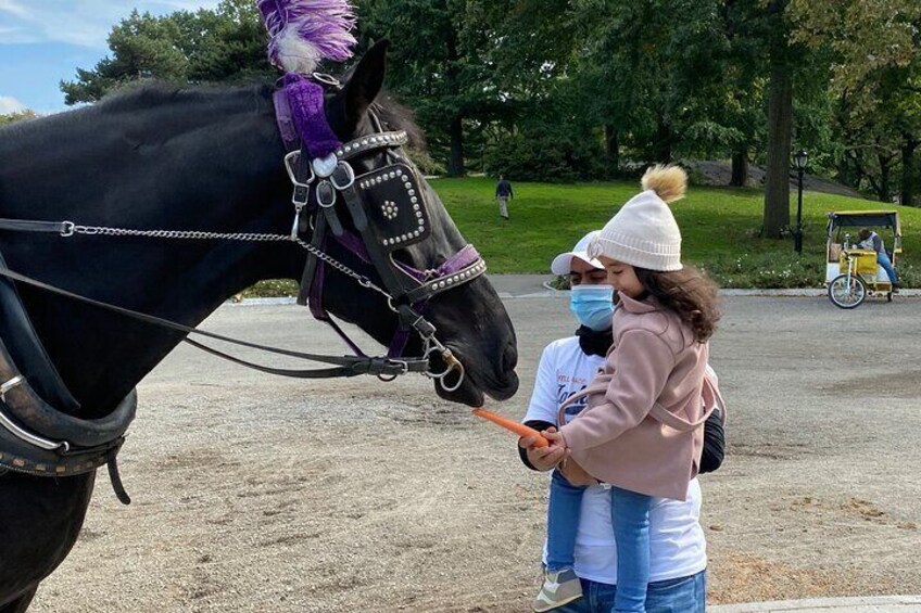 Private Horse Carriage Rides Since 1858 in NYC Central Park