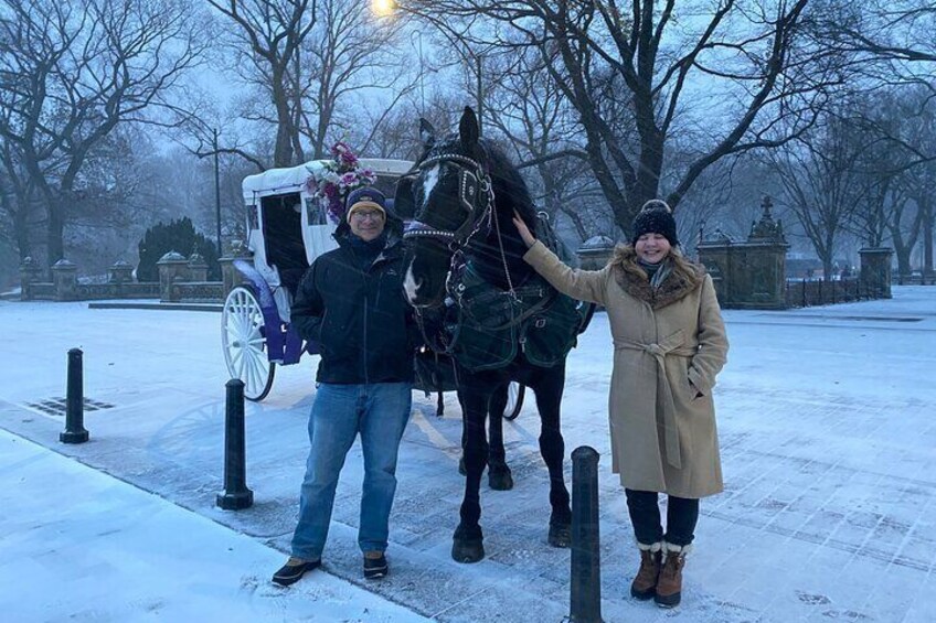 Private Horse Carriage Rides Since 1858 in NYC Central Park