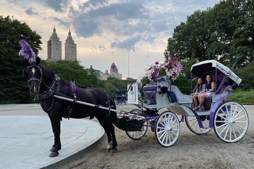 Private Horse Carriage Rides Since 1858 in NYC Central Park