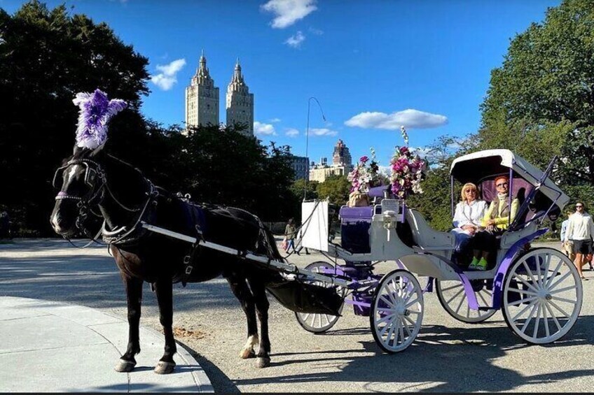 Private Horse Carriage Rides Since 1858 in NYC Central Park