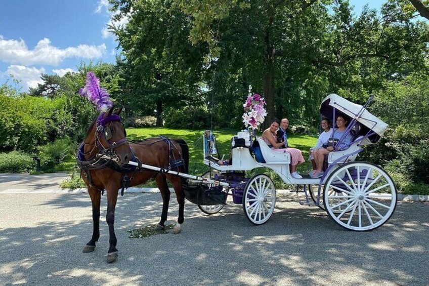 Private Horse Carriage Rides Since 1858 in NYC Central Park