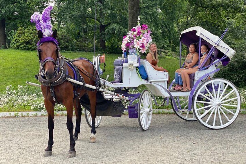 Private Horse Carriage Rides Since 1858 in NYC Central Park