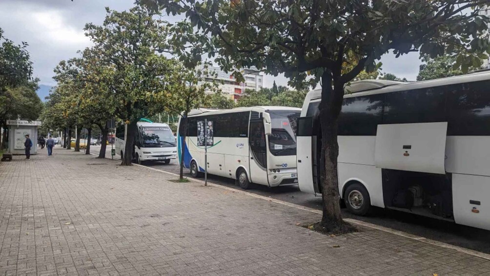 Picture 1 for Activity Tirana Airport: Bus Transfer from/to Tirana Central
