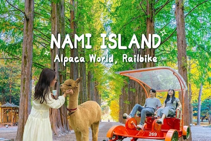 Seoul: Gangwon-do Day Trip with Alpaca World & Nami Island