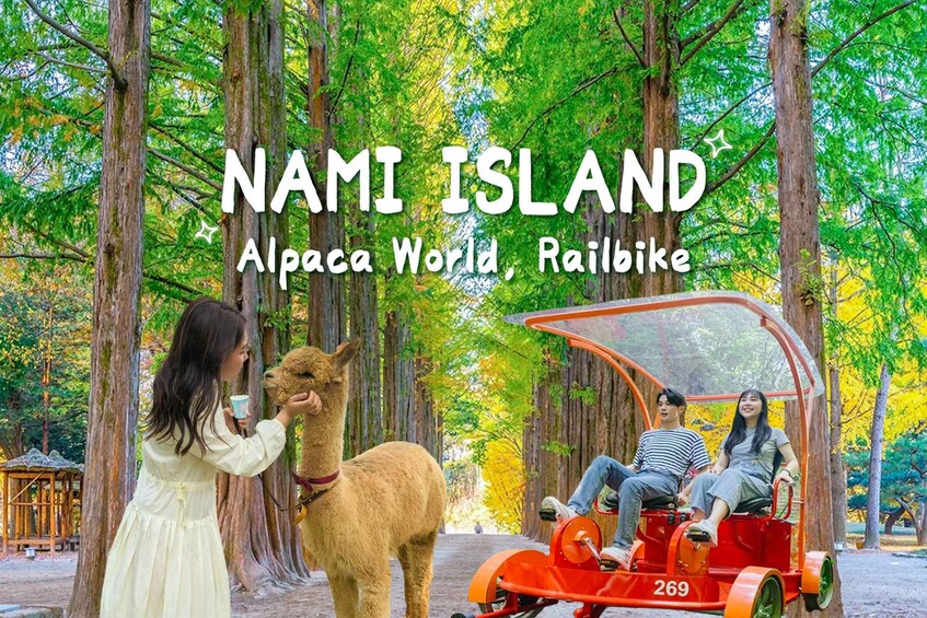 Seoul: Gangwon-do Day Trip with Alpaca World & Nami Island