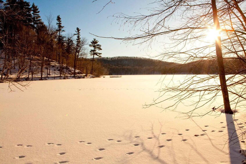 Picture 2 for Activity Montreal: Mont-Saint-Bruno National Park Entry and Fatbiking