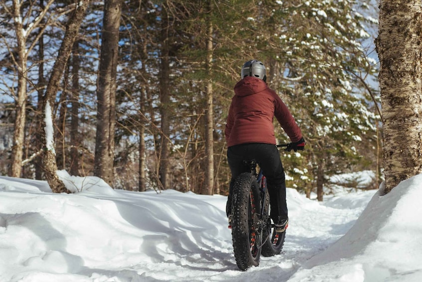 Picture 1 for Activity Montreal: Mont-Saint-Bruno National Park Entry and Fatbiking