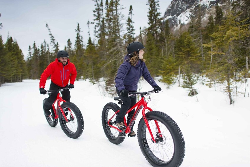 Picture 3 for Activity Montreal: Mont-Saint-Bruno National Park Entry and Fatbiking