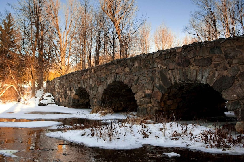 Picture 4 for Activity Montreal: Mont-Saint-Bruno National Park Entry and Fatbiking