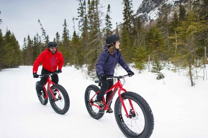 Îles-de-Boucherville: Park Entry with Fat-bike Rental