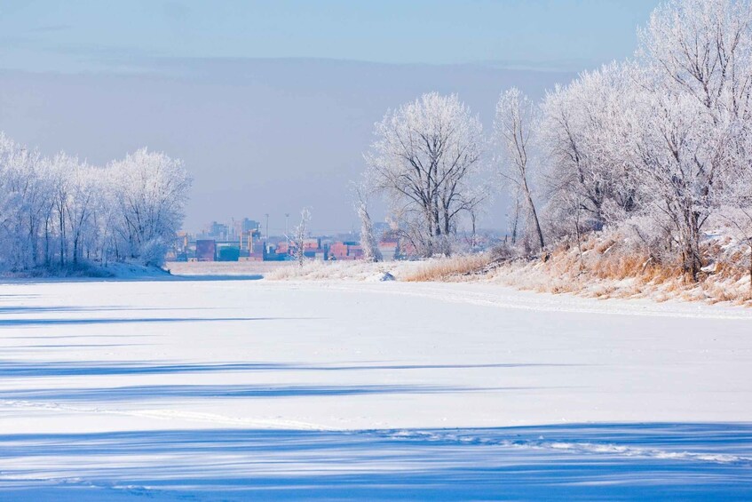 Picture 3 for Activity Îles-de-Boucherville: Park Entry with Fat-bike Rental