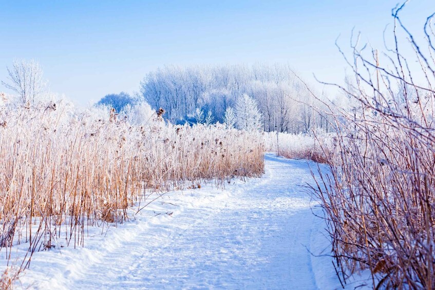 Picture 1 for Activity Îles-de-Boucherville: Park Entry with Fat-bike Rental