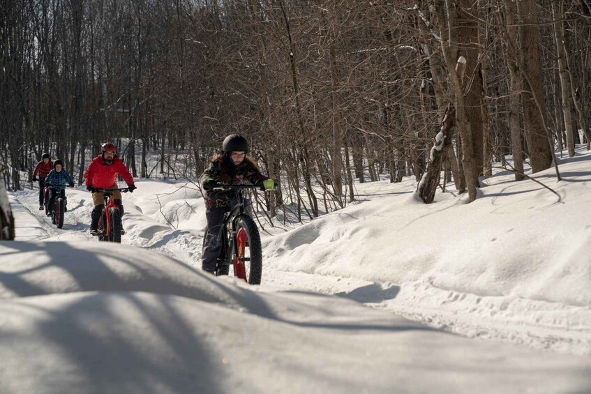 Picture 2 for Activity Îles-de-Boucherville: Park Entry with Fat-bike Rental