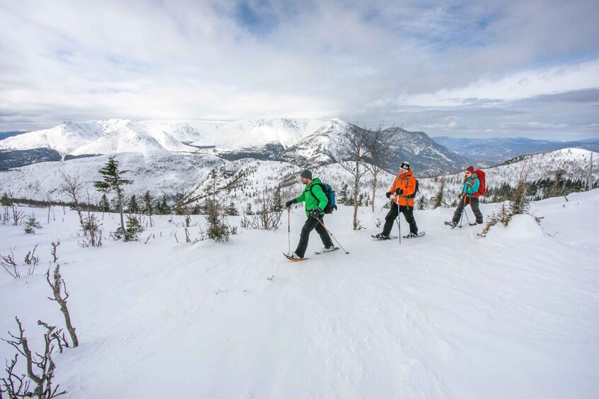 Gaspésie: National Park Entry Ticket with Snowshoe Rental