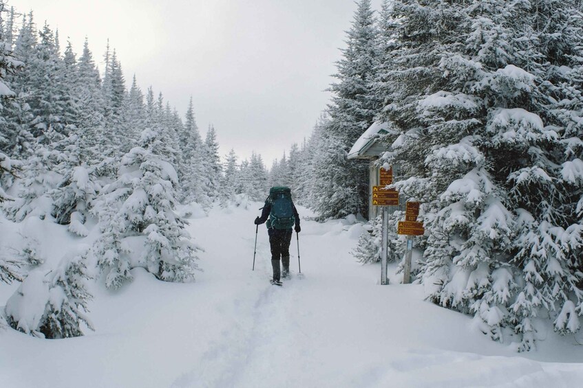 Picture 3 for Activity Gaspésie: National Park Entry Ticket with Snowshoe Rental