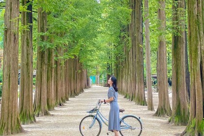 De Séoul : Île de Nami, jardin coréen et excursion d’une journée à vélo sur...