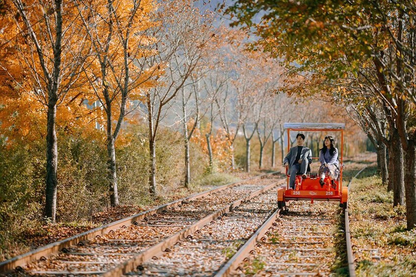 Picture 5 for Activity From Seoul: Nami Island, Korean Garden & Rail Bike Day Trip