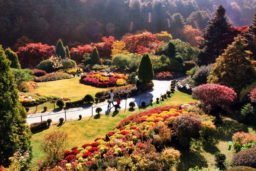 Picture 3 for Activity From Seoul: Nami Island, Korean Garden & Rail Bike Day Trip