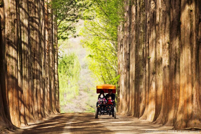 Picture 11 for Activity From Seoul: Nami Island, Korean Garden & Rail Bike Day Trip