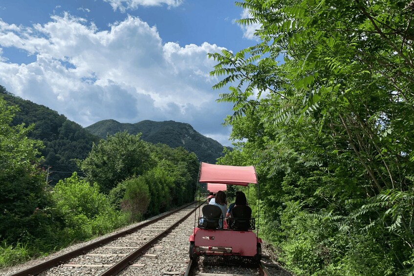 Picture 29 for Activity From Seoul: Nami Island, Korean Garden & Rail Bike Day Trip