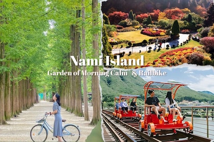 Från Seoul: Dagstur till Nami Island, Koreanska trädgården och Rail Bike