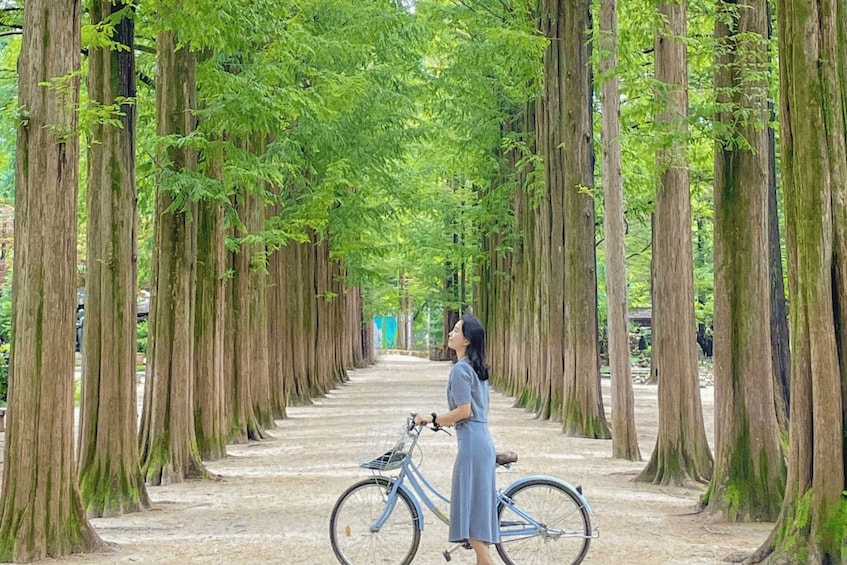 Picture 2 for Activity From Seoul: Nami Island, Korean Garden & Rail Bike Day Trip