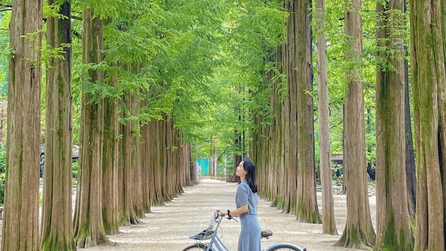 From Seoul: Nami Island, Korean Garden & Rail Bike Day Trip