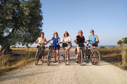 Bike tour among olive trees and olive oil tasting