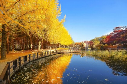 Seoul: Nami, Petite France, Italienisches Dorf, Railbike Option