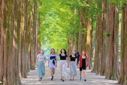 Seoul: Nami, Petite France, Italian Village, Railbike Option