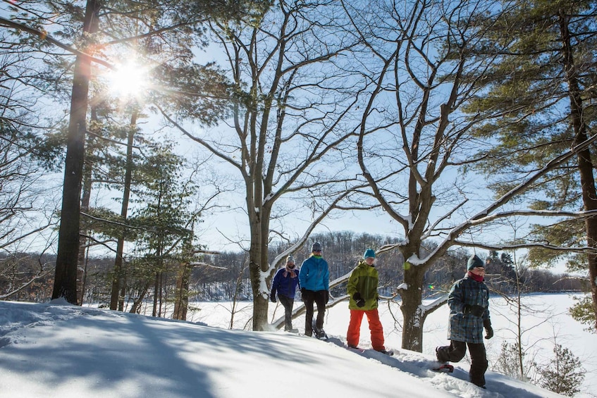 Picture 2 for Activity From Montreal: Mont-Saint-Bruno National Park Snowshoe Hike