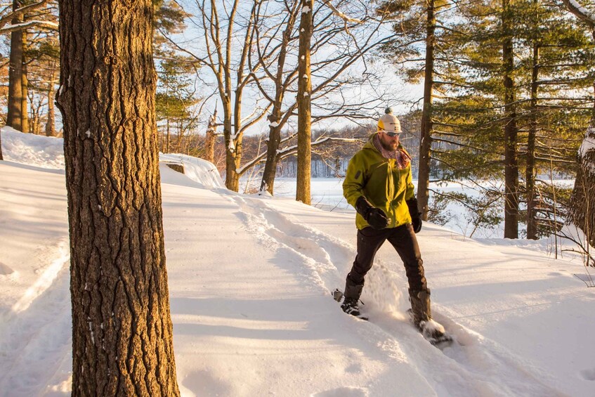 Picture 1 for Activity From Montreal: Mont-Saint-Bruno National Park Snowshoe Hike