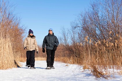 Montrealista: Mont-Saint-Brunon kansallispuiston lumikenkäilyretki