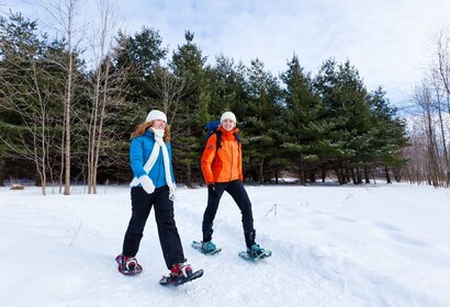 Montreal: Îles-de-Boucherville Entry Ticket and Snowshoeing