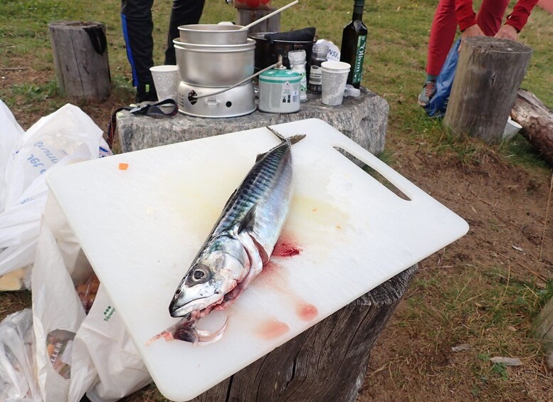 Picture 3 for Activity Bergen: Guided Fishing Tour with Outdoor Cooking