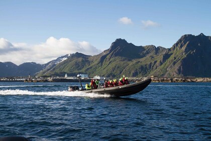 From Svolvær: Sea Eagle RIB Trollfjord Cruise